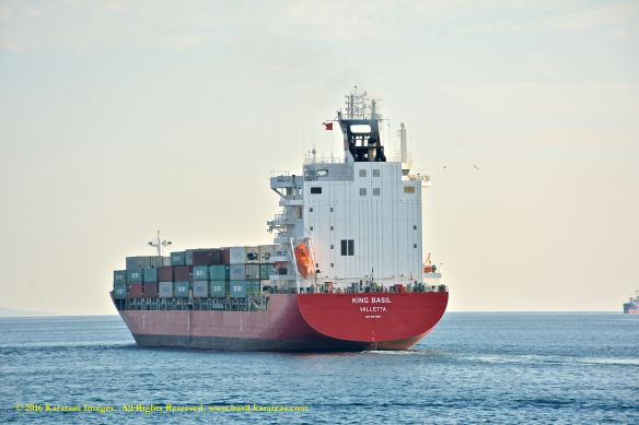 mv-king-basil-12-bmk_3034