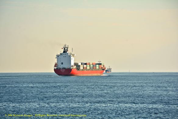 mv-king-basil-13-bmk_3077