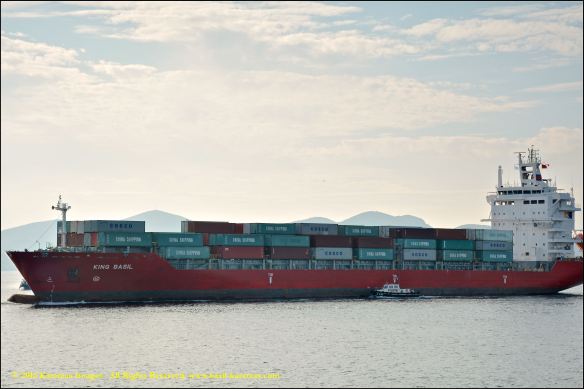 mv-king-basil-4-bmk_2904