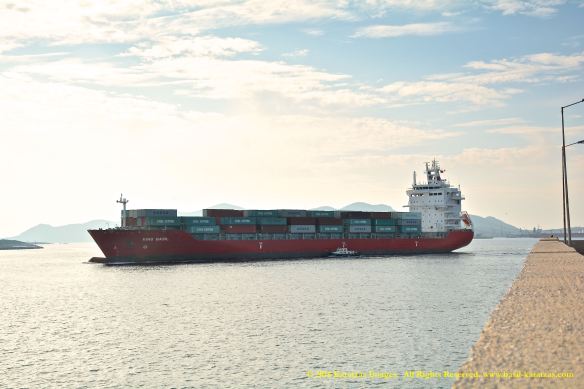 mv-king-basil-5-bmk_2906