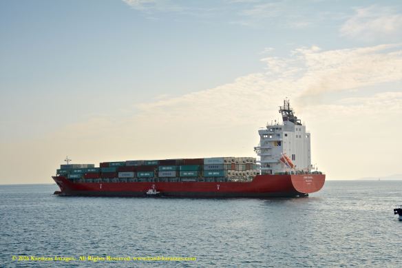 mv-king-basil-7-bmk_2956