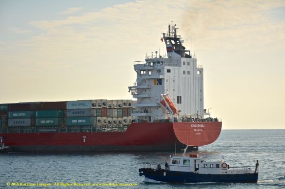 mv-king-basil-8-bmk_2961