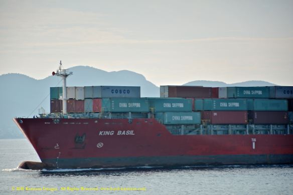 mv-king-basil-9-bmk_2890