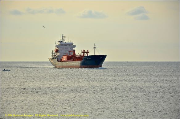 mt-melina-1-bmk_3628