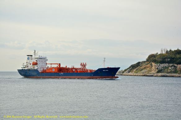 mv-melina-5-bmk_3668