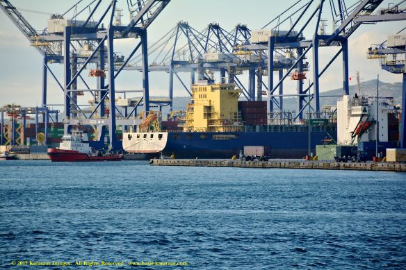 mv-new-jersey-trader-1-bmk_9934