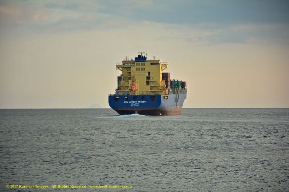 mv-new-jersey-trader-14-bmk_0270