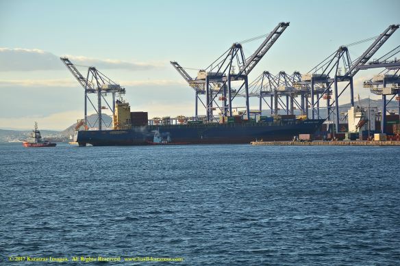 mv-new-jersey-trader-2-bmk_9970