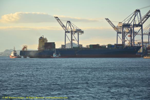 mv-new-jersey-trader-3-bmk_9989