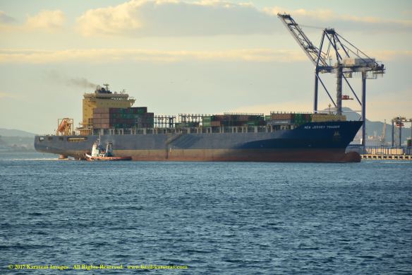 mv-new-jersey-trader-4-bmk_0007