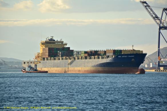 mv-new-jersey-trader-5-bmk_0016
