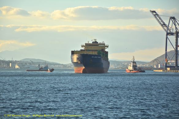 mv-new-jersey-trader-7-bmk_0053