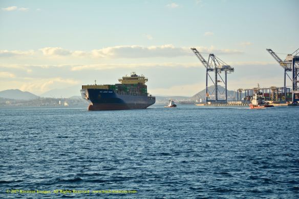 mv-new-jersey-trader-9-bmk_0088